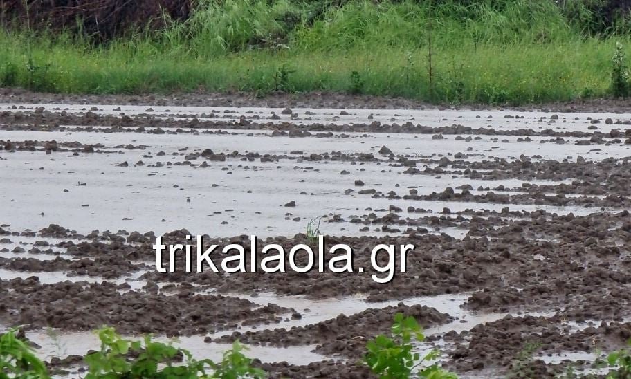 «Καταστροφική καταιγίδα στα Τρίκαλα: Χαλάζι και βροχή «ντύνουν» τα χωράφια στα λευκά – Δείτε τις εντυπωσιακές εικόνες»