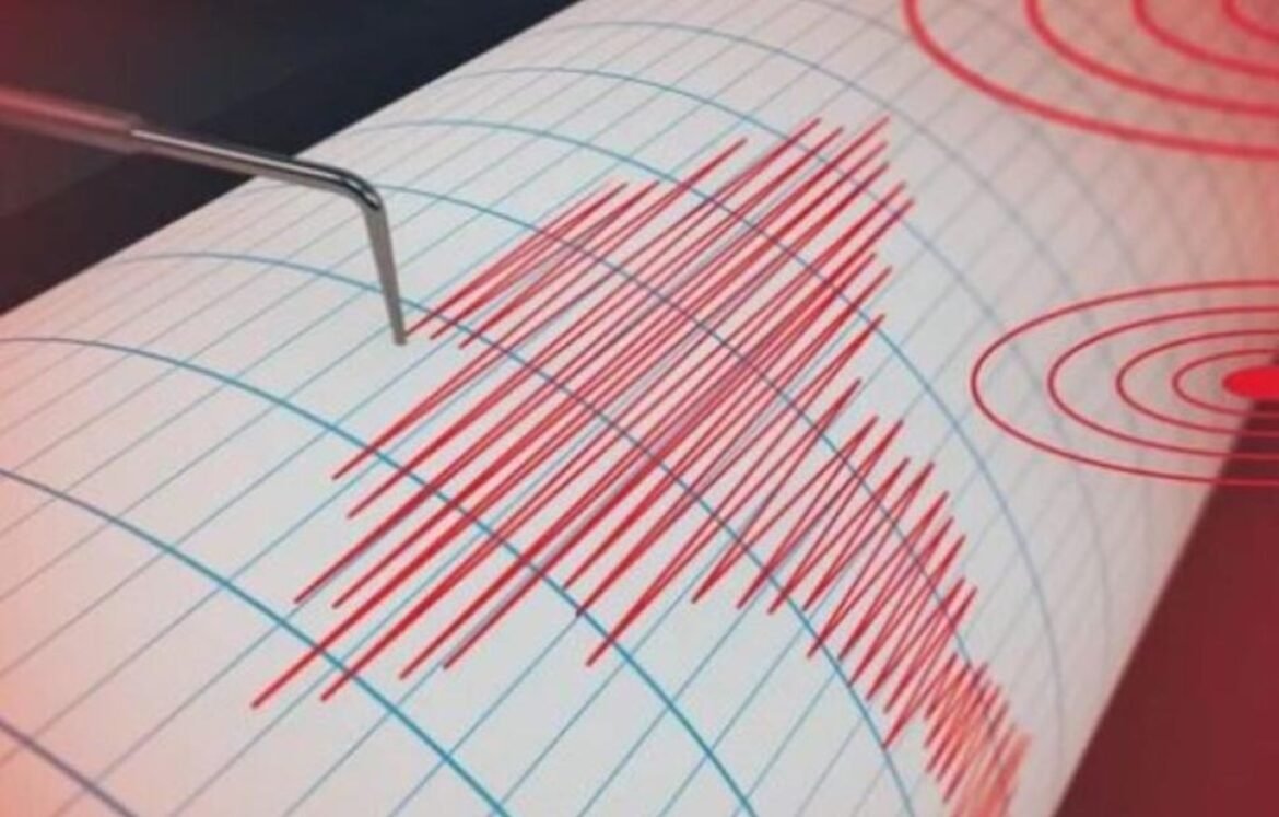 Σεισμική Δόνηση 4,9 Ρίχτερ «ταράσσει» την Τουρκία: Ποιες περιοχές επλήγησαν;