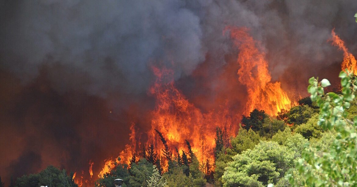 «Φωτιά στη Ζάκυνθο: Εντυπωσιακή μάχη με τις φλόγες στον Άγιο Λέοντα – Εναέρια μέσα στη δράση!»