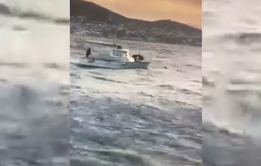 «Αρτέμιδα: Συναρπαστική επιχείρηση διάσωσης χειριστή kite surf – Δείτε το συγκλονιστικό βίντεο!»