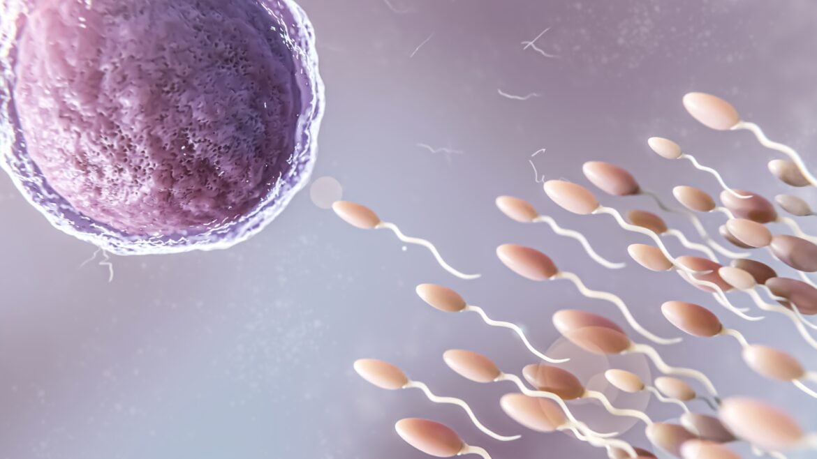 «Σκάνδαλο στην Ολλανδία: 85 δότες σπέρματος γίνονται πατέρες για πάνω από 25 παιδιά!»