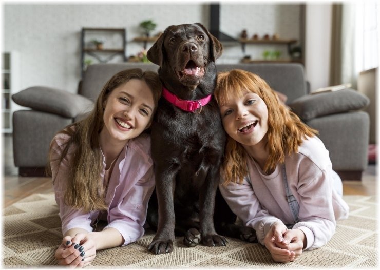 «Η Σημασία της Σχέσης μας με τους Σκύλους: Αποκαλύψεις από την Επιστήμη»