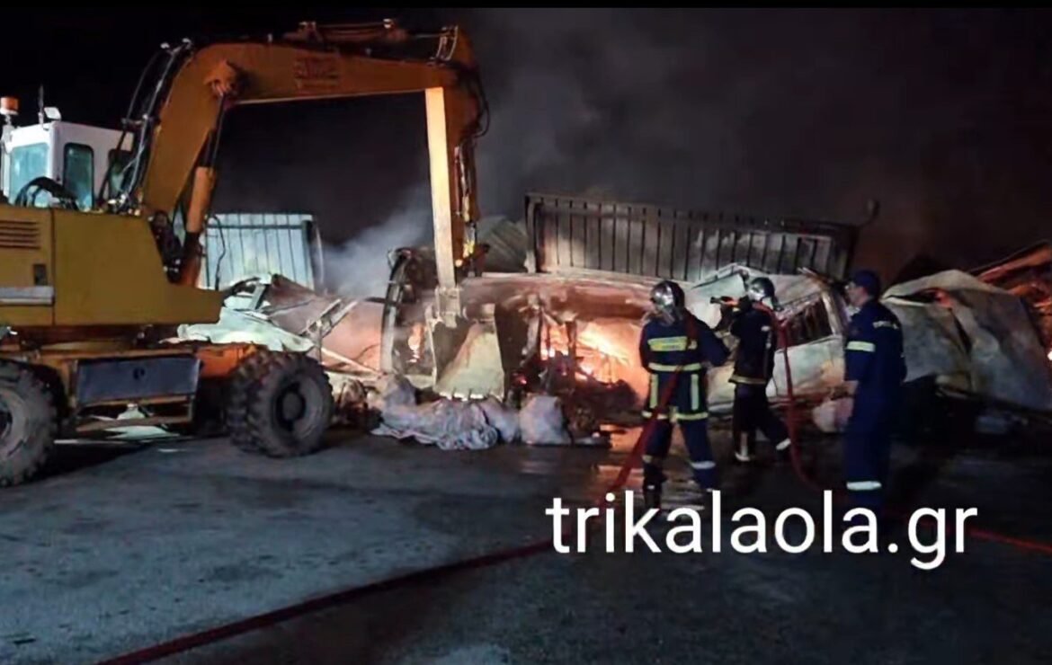 Φωτιά-Θηρίο σε εργοστάσιο ξυλείας στα Τρίκαλα: Συναγερμός στην Πυροσβεστική – Δείτε το ΒΙΝΤΕΟ!