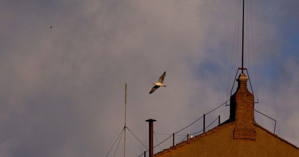 «Κονκλάβιο: Ξαναρχίζει η ψηφοφορία για τον νέο Πάπα – Στιγμές αγωνίας πριν τον λευκό καπνό»