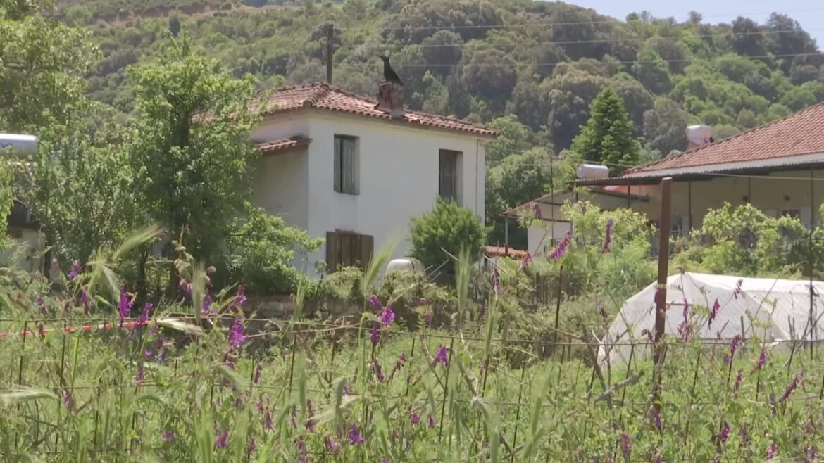 Αμφιλοχία: Σοκ και Δέος – Προφυλακίστηκε ο 67χρονος που σκότωσε τον 95χρονο πατέρα του