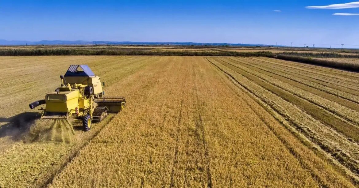 «Ανοίγουν οι ηλεκτρονικές αιτήσεις για το πρόγραμμα βιολογικής γεωργίας και κτηνοτροφίας: 287,5 εκατ. ευρώ σε επιδοτήσεις από 14 έως 28 Μαΐου!»