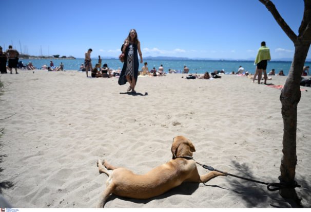 «Καλοκαιρινή Έκρηξη: Θερμή Εισβολή με 39°C το Σαββατοκύριακο και κορύφωση τη Δευτέρα!»