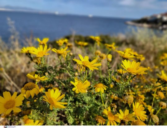 «Ανοιξιάτικος καιρός την Τρίτη με τοπικές μπόρες – Επιστροφή της αστάθειας την Τετάρτη με βροχές και καταιγίδες»