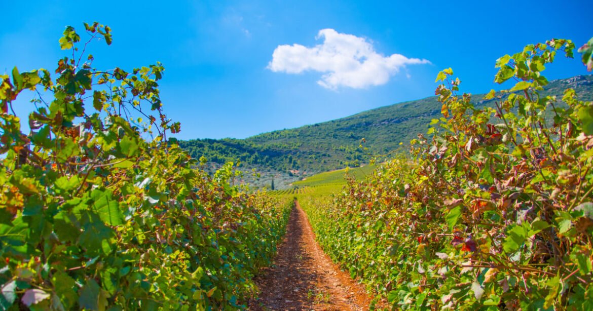 «Πελοπόννησος: Ανακαλύπτοντας τα Χρυσά και τα Οικονομικά «Φιλέτα» Γης»