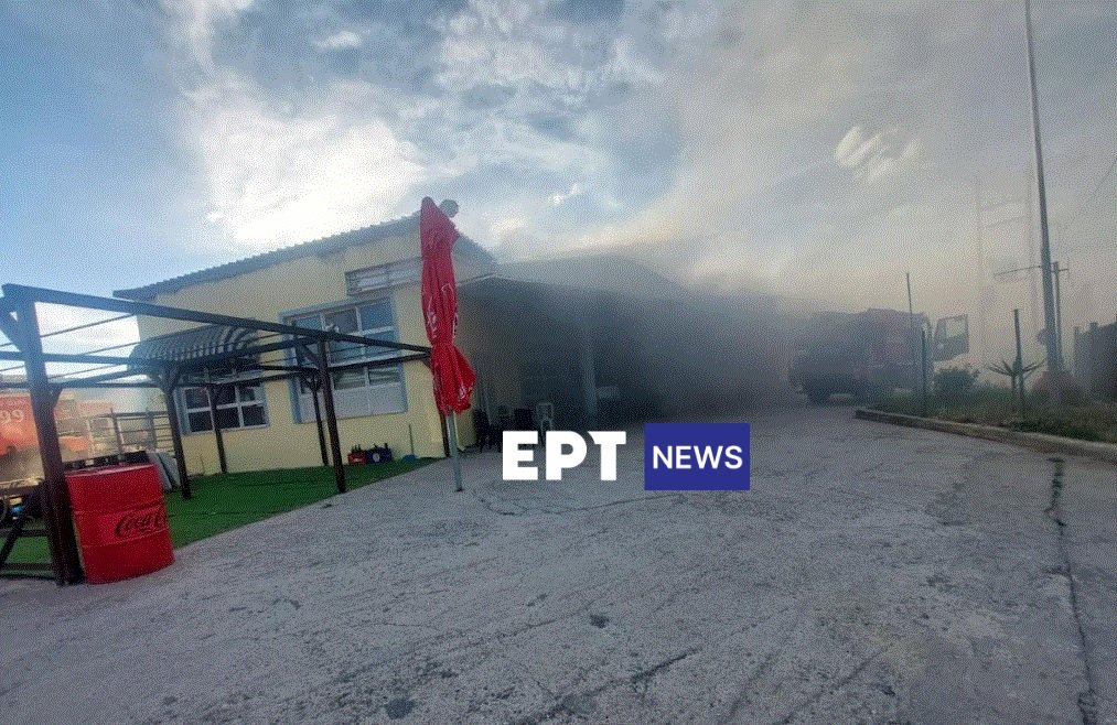 «Σοκ στη Λέσβο: Η δραματική ιστορία της 65χρονης που βρήκε καταφύγιο σε σούπερ μάρκετ μετά τον σεισμό του 2017»