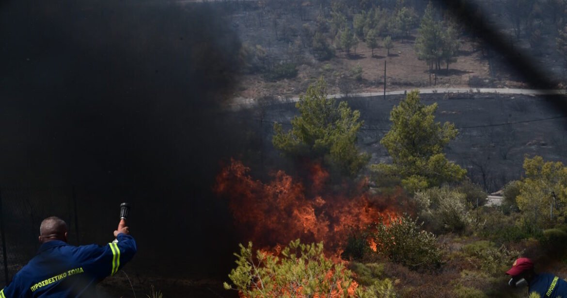«Φωτιά στο Νεοχώρι Αργολίδας: Στη μάχη 40 πυροσβέστες και αεροσκάφη για την κατάσβεση»