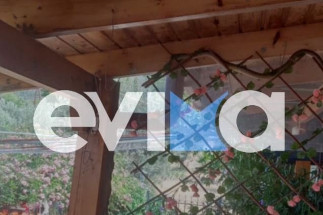 Συναγερμός στην Εύβοια: Φίδι «επισκέπτεται» μπαλκόνι σπιτιού στην Ερέτρια – Δείτε τις εντυπωσιακές φωτογραφίες!