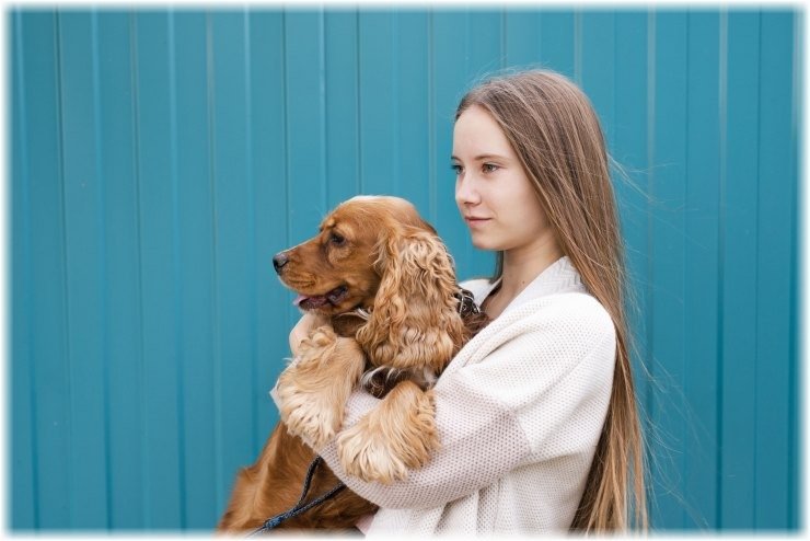 Μοιάζουν όντως οι άνθρωποι με τους σκύλους τους; Η επιστήμη λέει ναι!