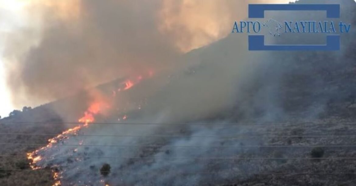 Μεγάλη φωτιά στην Αργολίδα στην περιοχή Άνω Καρνεζαίικα – Σηκώθηκαν έξι εναέρια, μήνυμα 112 στους κατοίκους