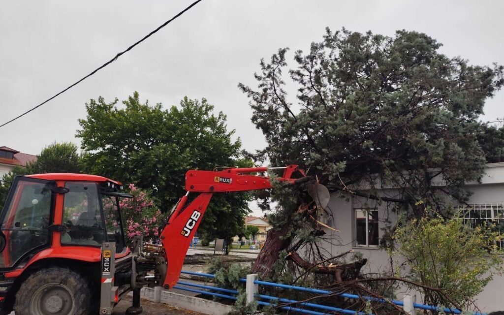 Καρδίτσα: Ζημιές σε καλλιέργειες από το μπουρίνι – 57 κλήσεις για πτώσεις δέντρων δέχτηκε η Πυροσβεστική