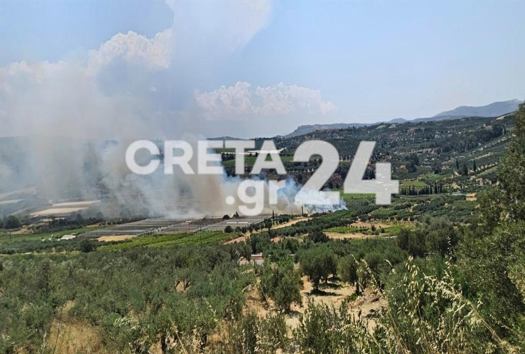 Ηράκλειο: Συναγερμός για φωτιά στις Αρχάνες – Μεγάλη κινητοποίηση της Πυροσβεστικής – ΒΙΝΤΕΟ
