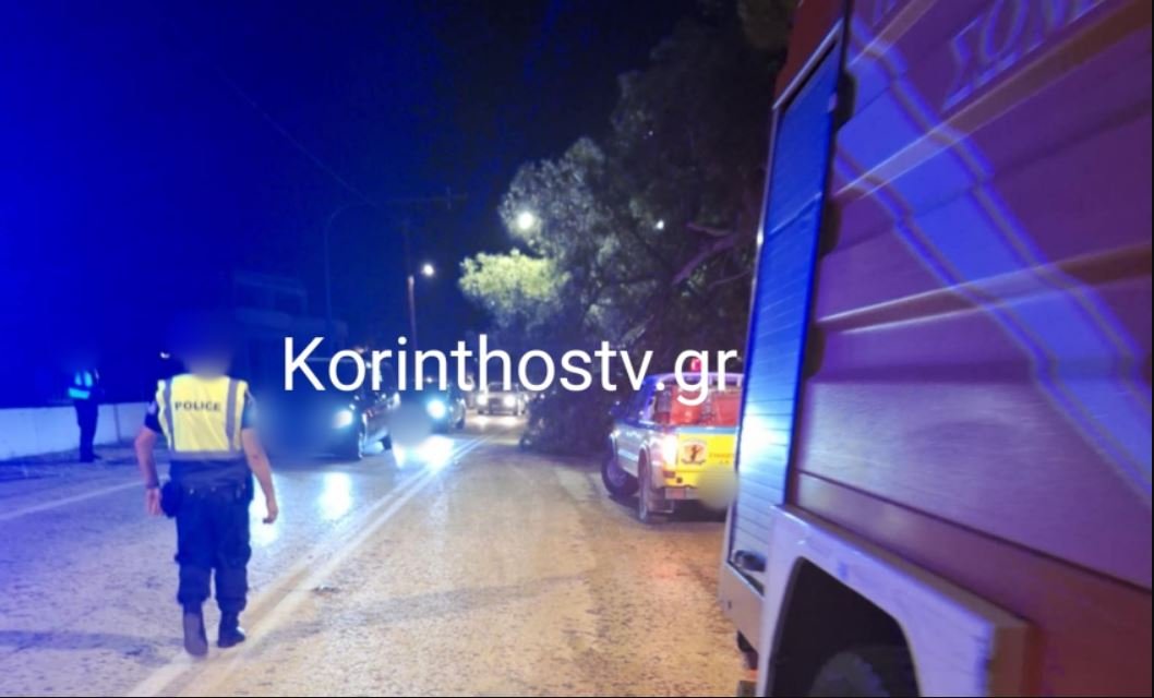Κορινθία: Πτώση δέντρου λόγω της κακοκαιρίας στην επαρχιακή οδό Ισθμού – Επιδαύρου