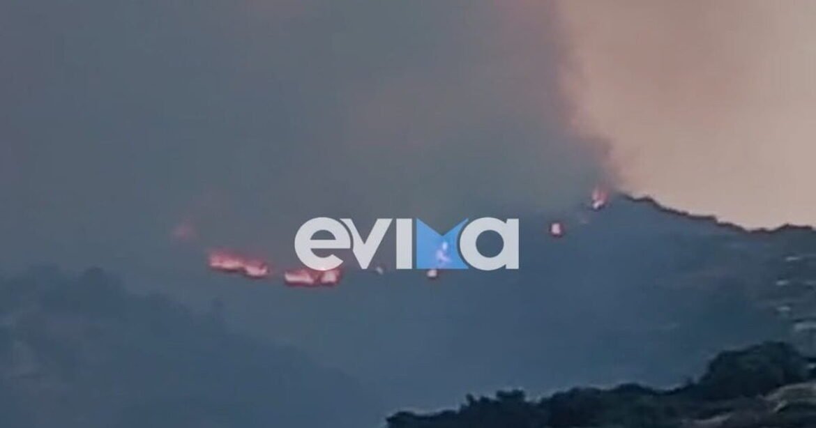 Εύβοια: Μεγάλη φωτιά σε χαμηλή βλάστηση στην Κάρυστο – Εκκενώθηκε ξενοδοχείο, ήχησε το 112