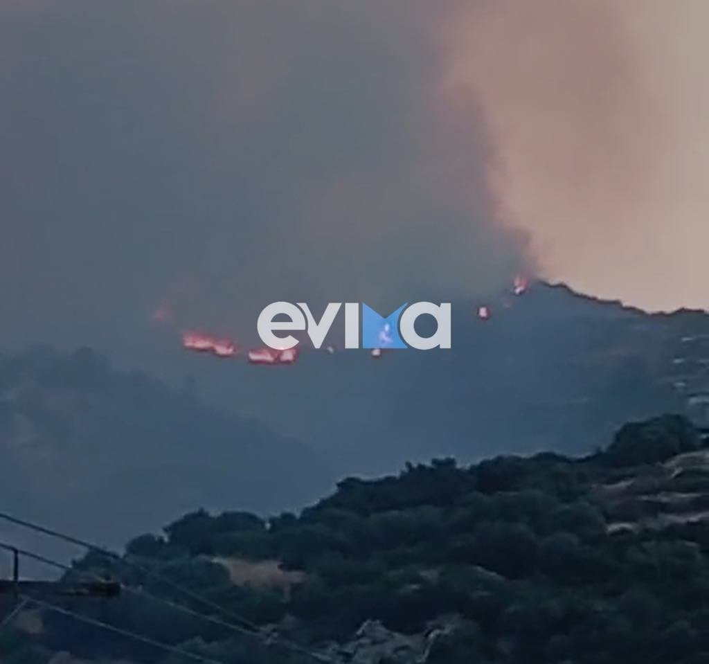 Εύβοια: Οριοθετήθηκε η φωτιά στους Τσακαίους, παραμένει η ανησυχία για πιθανές αναζωπυρώσεις – Βίντεο από τη