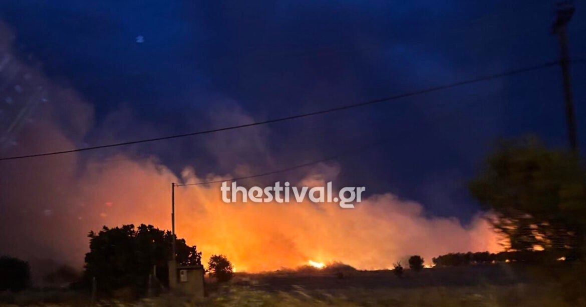 Τρεις εστίες φωτιάς στη Θεσσαλονίκη σε Δρυμό, Νέο Ρύσιο και Λακκιά – Εικόνες από τα σημεία της πυρκαγιάς