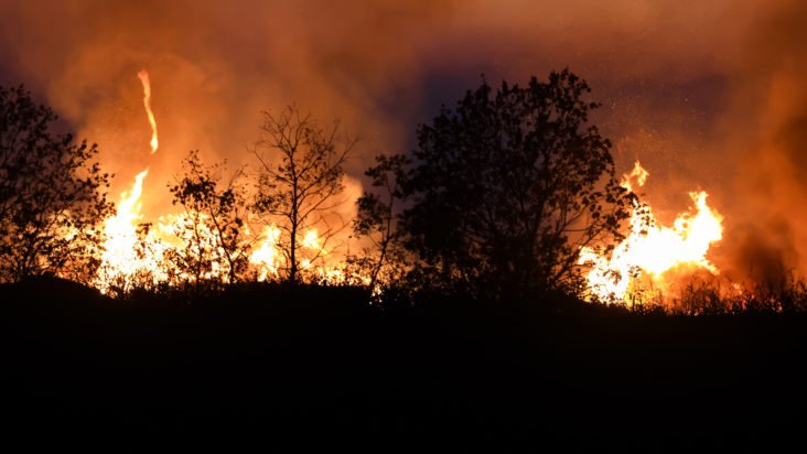 Λάρισα: Φωτιά στην περιοχή Όσσα Τεμπών – Άμεση η κινητοποίηση της πυροσβεστικής