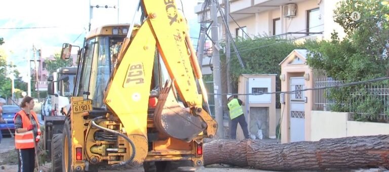 Κηφισιά: Έπεσε δέντρο ύψους 15 μέτρων – Ζημιές σε αυτοκίνητο και μάντρα