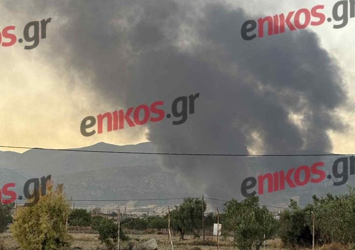Φωτιά σε εργοστάσιο πλαστικών στα Μέγαρα: Ήχησε το 112 – «Κλείστε πόρτες και παράθυρα» – ΦΩΤΟ και ΒΙΝΤΕΟ