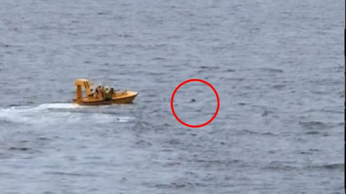 Πατέρας πήδηξε από κρουαζιερόπλοιο της Disney για να σώσει την κόρη του που έπεσε στη θάλασσα (βίντεο)