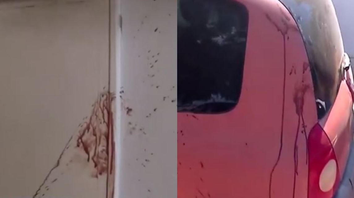 Μέγαρα: «Μας έσφαξε» ήταν τα πρώτα λόγια του θείου του 37χρονου μέσα στο ασθενοφόρο – «Παλεύει με δαίμονες