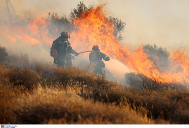 Φωτιά στην Ιεράπετρα: Πάνω από 12.000 στρέμματα έγιναν στάχτη – Συνεχίζεται η μάχη με τις αναζωπυρώσεις – ΦΩΤΟ