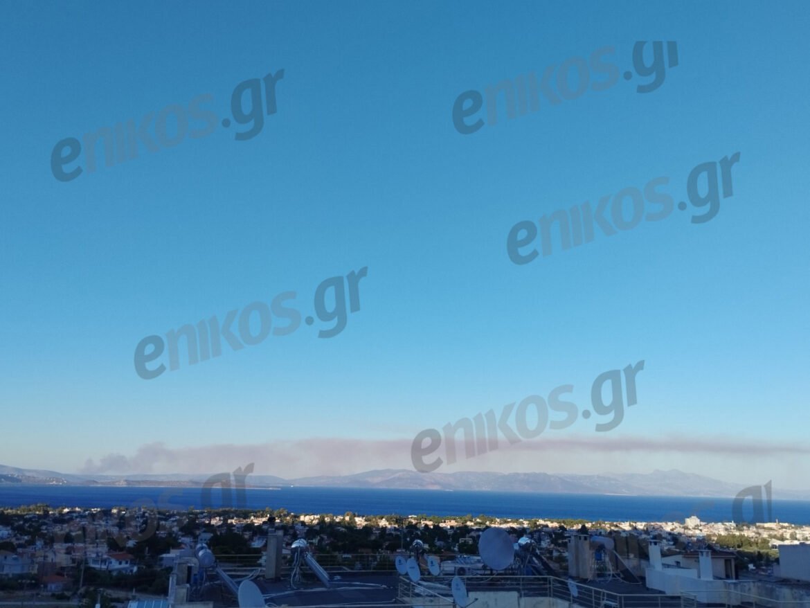 Φωτιά στην Εύβοια: Νέο μήνυμα από το 112 – «Αν βρίσκεστε στην περιοχή Τσακαίοι απομακρυνθείτε προς Στύρα»