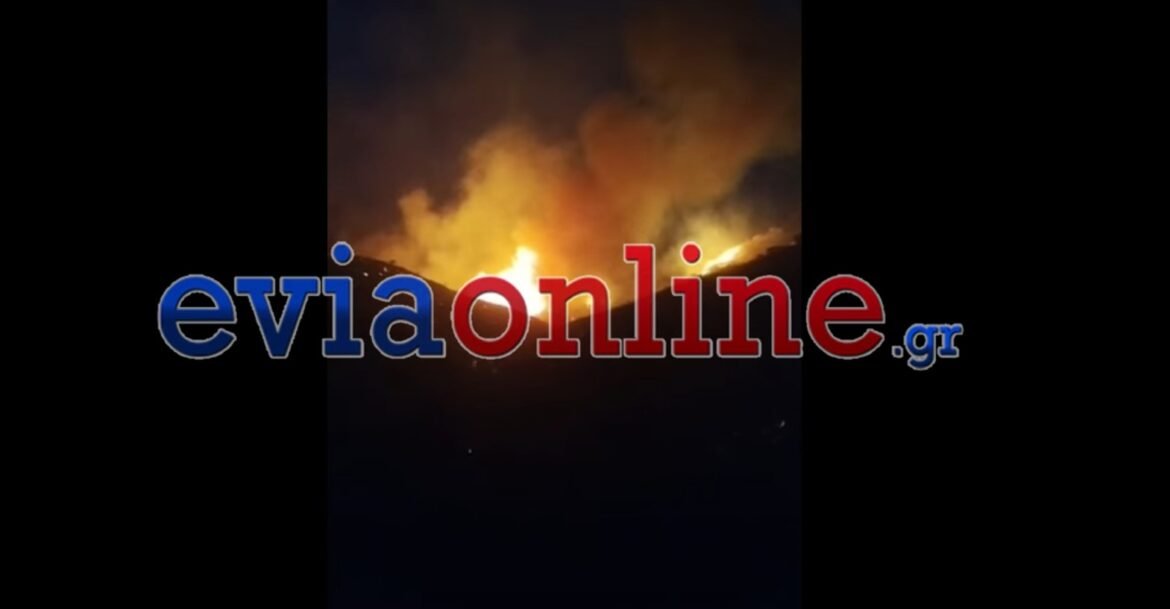 Εύβοια: Σε πλήρη εξέλιξη η φωτιά στα Μεσοχώρια – «Το μέτωπο είναι μεγάλο» λέει στο enikos.gr ο