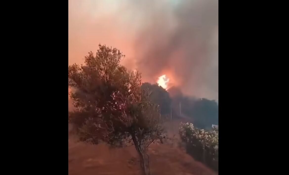 Φωτιά στην Εύβοια: Αλλεπάλληλα μηνύματα από το 112 – «Αν βρίσκεστε στην περιοχή Τσακαίοι απομακρυνθείτε προς