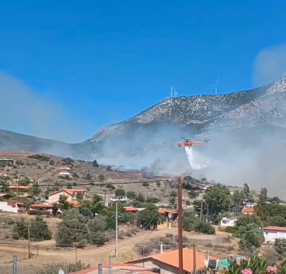 Βοιωτία: Καλύτερη η εικόνα της φωτιάς στην Αλυκή – Οι φλόγες «έγλειψαν» αυλές – ΦΩΤΟ και ΒΙΝΤΕΟ