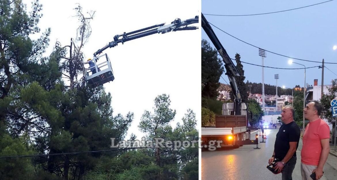 Λαμία: Οι ισχυροί άνεμοι έριξαν δέντρα – Επιχείρηση του Δήμου για την απομάκρυνσή τους – ΦΩΤΟ και ΒΙΝΤΕΟ
