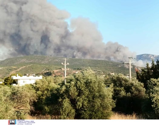 Φωτιά στον Ωρωπό: Σε ετοιμότητα για εκκένωση στη δομή της Μαλακάσας