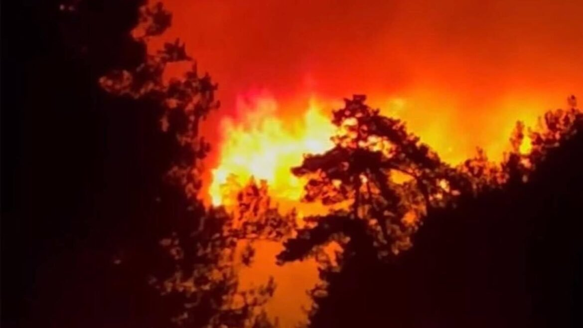 Φωτιά στο Γλυκάδι Θάσου: «Η κατάσταση είναι δύσκολη, αλλά όχι ανεξέλεγκτη», λέει ο δήμαρχος, Ελευθέριος