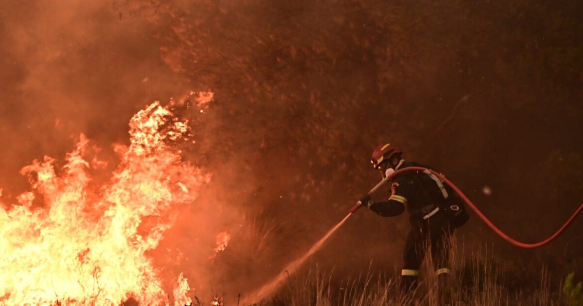 Φωτιά στη Θεσσαλονίκη: Οι πυροσβέστες δίνουν μάχη με τις φλόγες και τους ισχυρούς ανέμους