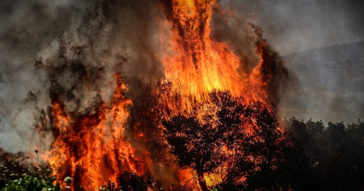 Πολύ υψηλός κίνδυνος φωτιάς σε Στερεά Ελλάδα, Πελοπόννησο, Κρήτη και Βόρειο Αιγαίο