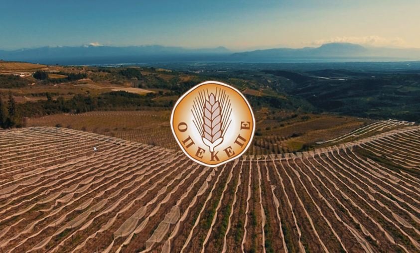 Νέες αποκαλύψεις για τον ΟΠΕΚΕΠΕ – Έργο ανατέθηκε σε επιστήμονα που καταδικάστηκε στην πρώτη δίκη για