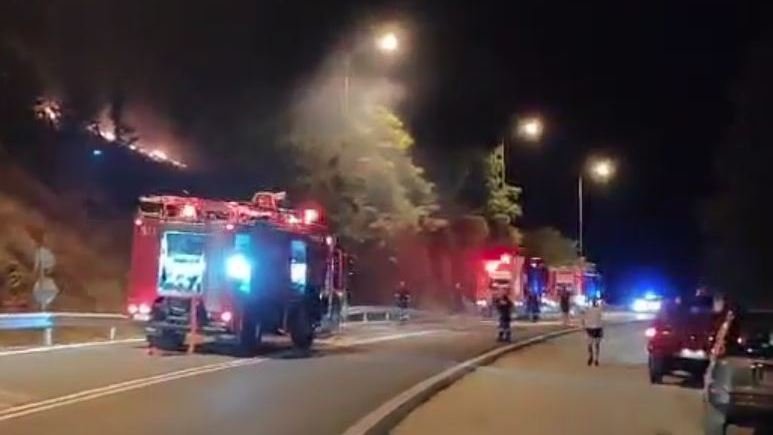 Ιωάννινα: Φωτιά σε δασική έκταση στις Λιγκιάδες – Ισχυρές δυνάμεις της πυροσβεστικής στο σημείο