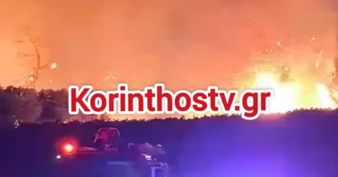 Φωτιά στο Ελληνοχώρι Κορινθίας – Ισχυρές δυνάμεις στο σημείο