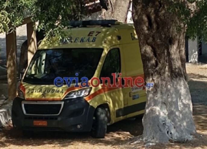 Εύβοια: Σώοι εντοπίστηκαν οι 2 πεζοπόροι που είχαν χαθεί σε δύσβατη περιοχή 