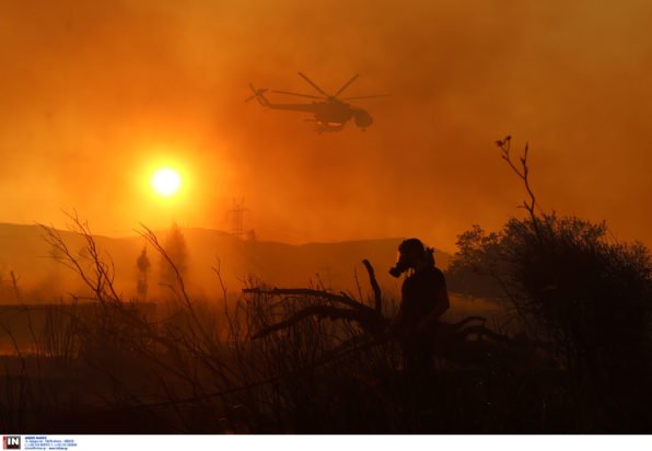 Συνολάκης: Να μάθουμε να ζούμε με τις φωτιές – Χρειάζεται τοπική οργάνωση με εθελοντές