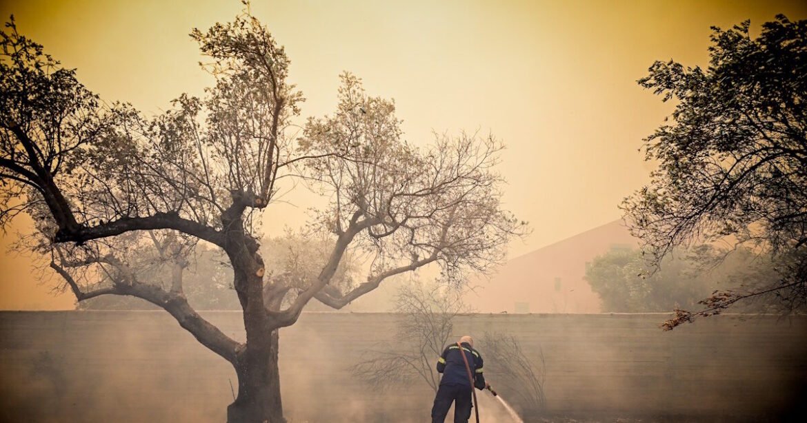 Φωτιά στον Κουβαρά Αττικής: Μάχη να μην επεκταθεί λόγω των ανέμων