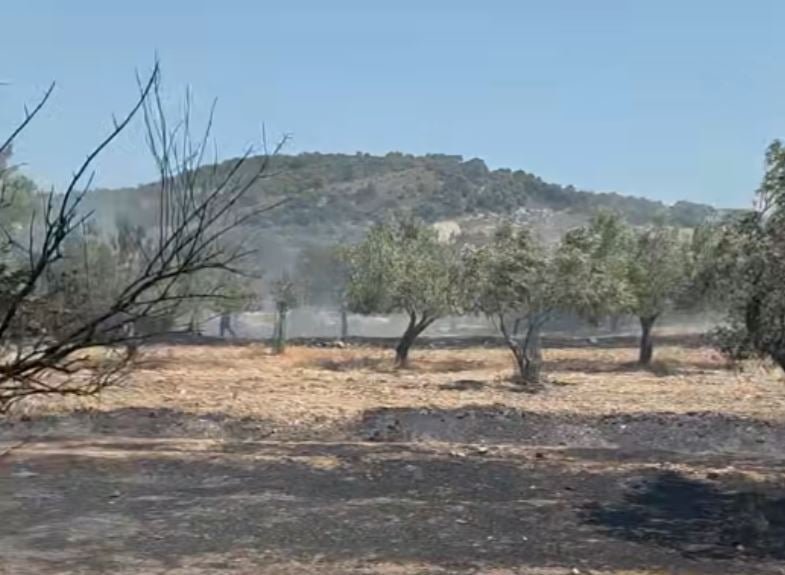 Υπό μερικό έλεγχο η φωτιά στον Κουβαρά Αττικής 
