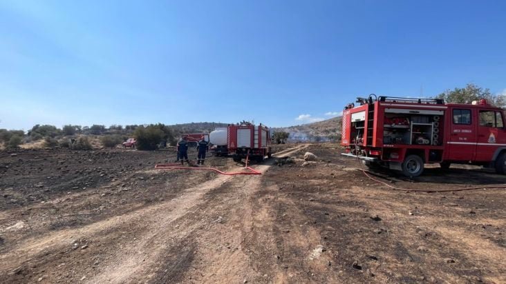 Μία σύλληψη για την φωτιά στα Μέγαρα – Επιβλήθηκε πρόστιμο 4.125 ευρώ