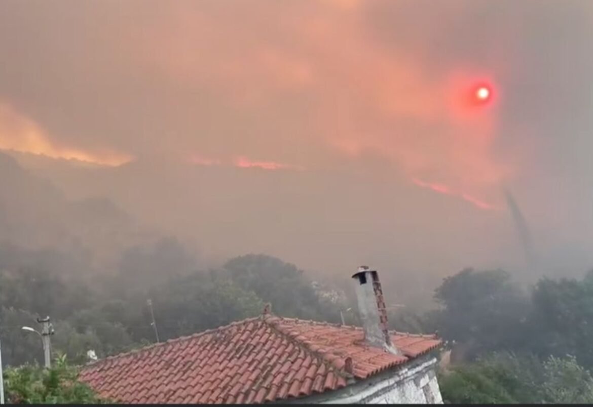 Τεράστια φωτιά στην Αλβανία με μέτωπο 35 χλμ – Κίνδυνος να περάσει στην Ελλάδα (Βίντεο)