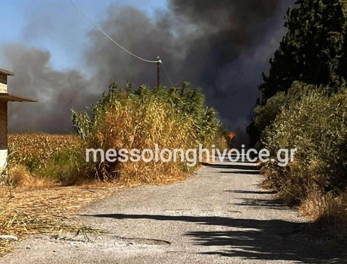 Φωτιά στον Γαλάτα Αιτωλοακαρνανίας: Ήχησε το 112 – «Παραμείνετε σε ετοιμότητα»