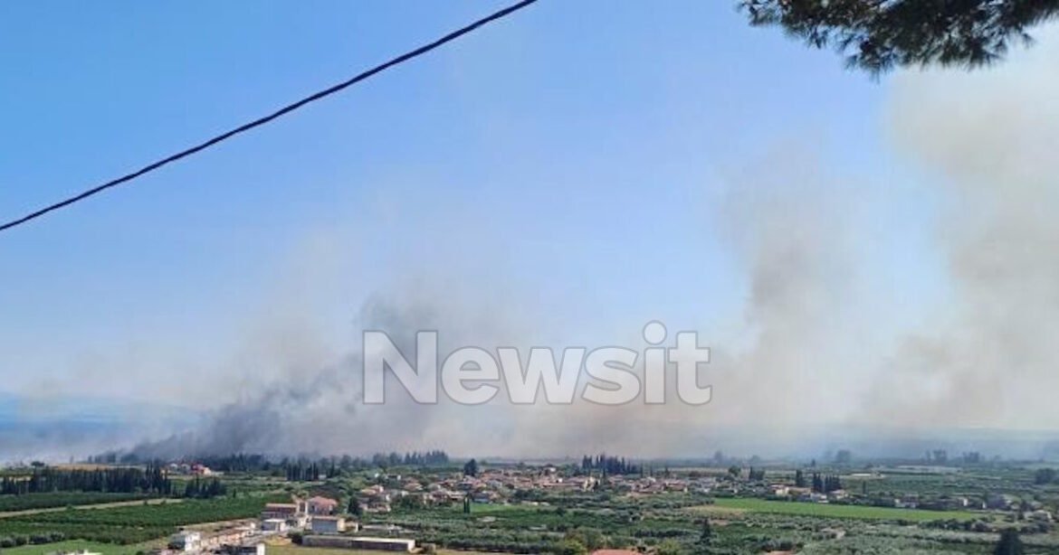 Φωτιά στον Γαλατά Αιτωλοακαρνανίας – Σηκώθηκαν αεροσκάφη